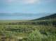imgp0935_small.jpg