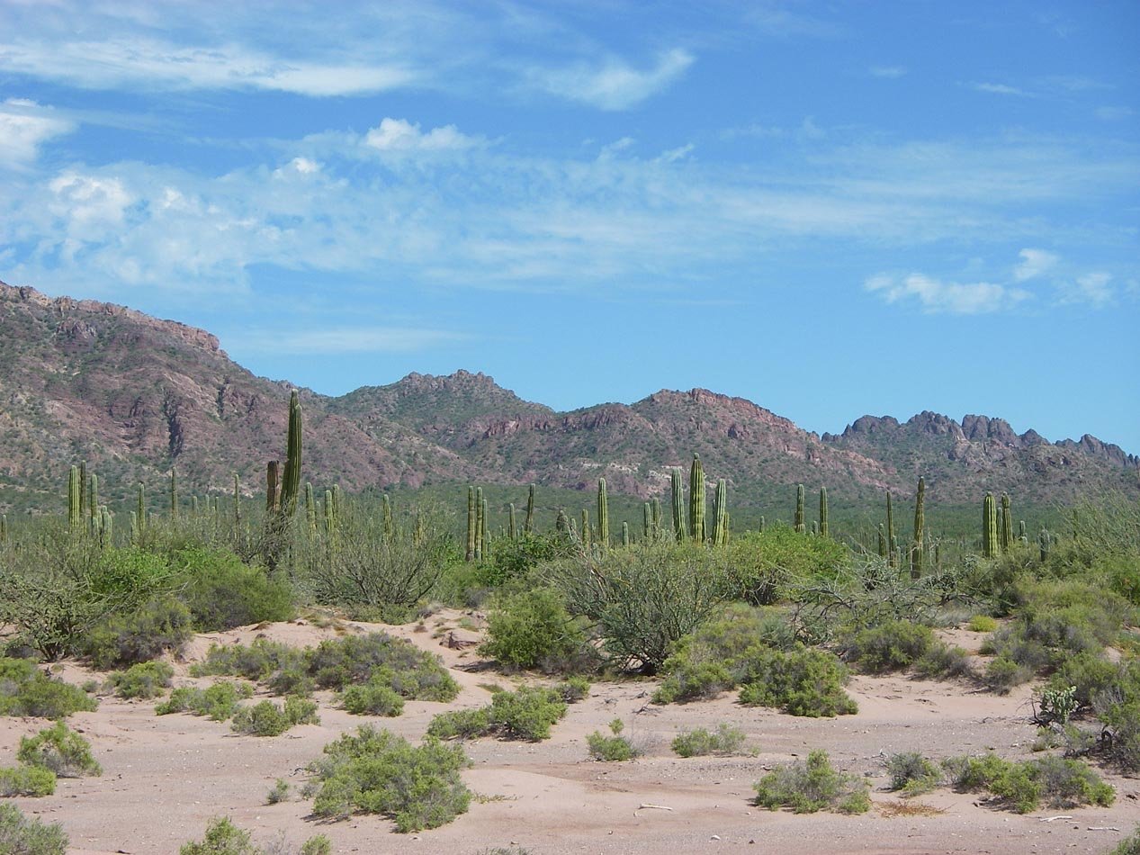 imgp0945.jpg
