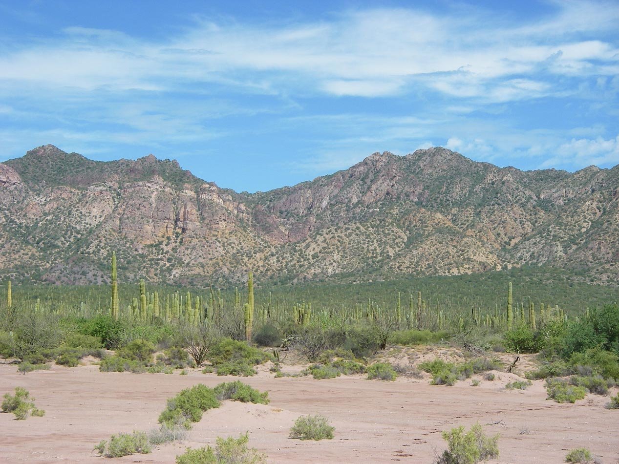 imgp0947.jpg