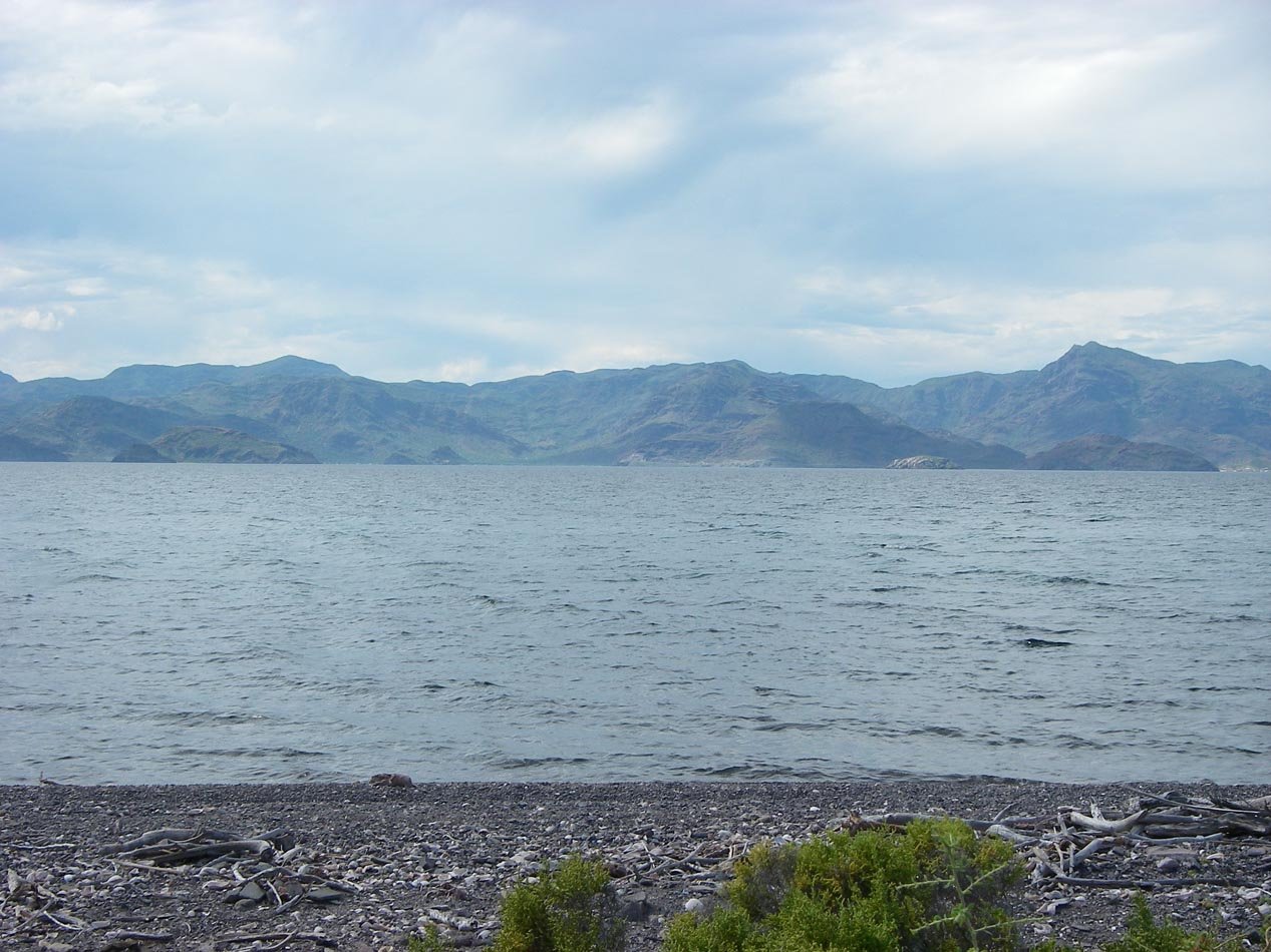 imgp0949.jpg