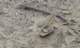 imgp0954_small.jpg