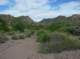 imgp0961_small.jpg