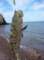 imgp0965_small.jpg