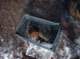 imgp0968_small.jpg