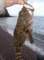 imgp0969_small.jpg