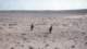 imgp0971_small.jpg