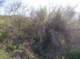 imgp0980_small.jpg