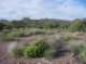 imgp0984_small.jpg