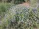 imgp0985_small.jpg