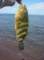 imgp0992_small.jpg