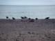 imgp1004_small.jpg