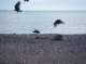 imgp1006_small.jpg