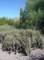 imgp1007_small.jpg