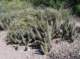 imgp1008_small.jpg
