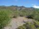 imgp1010_small.jpg