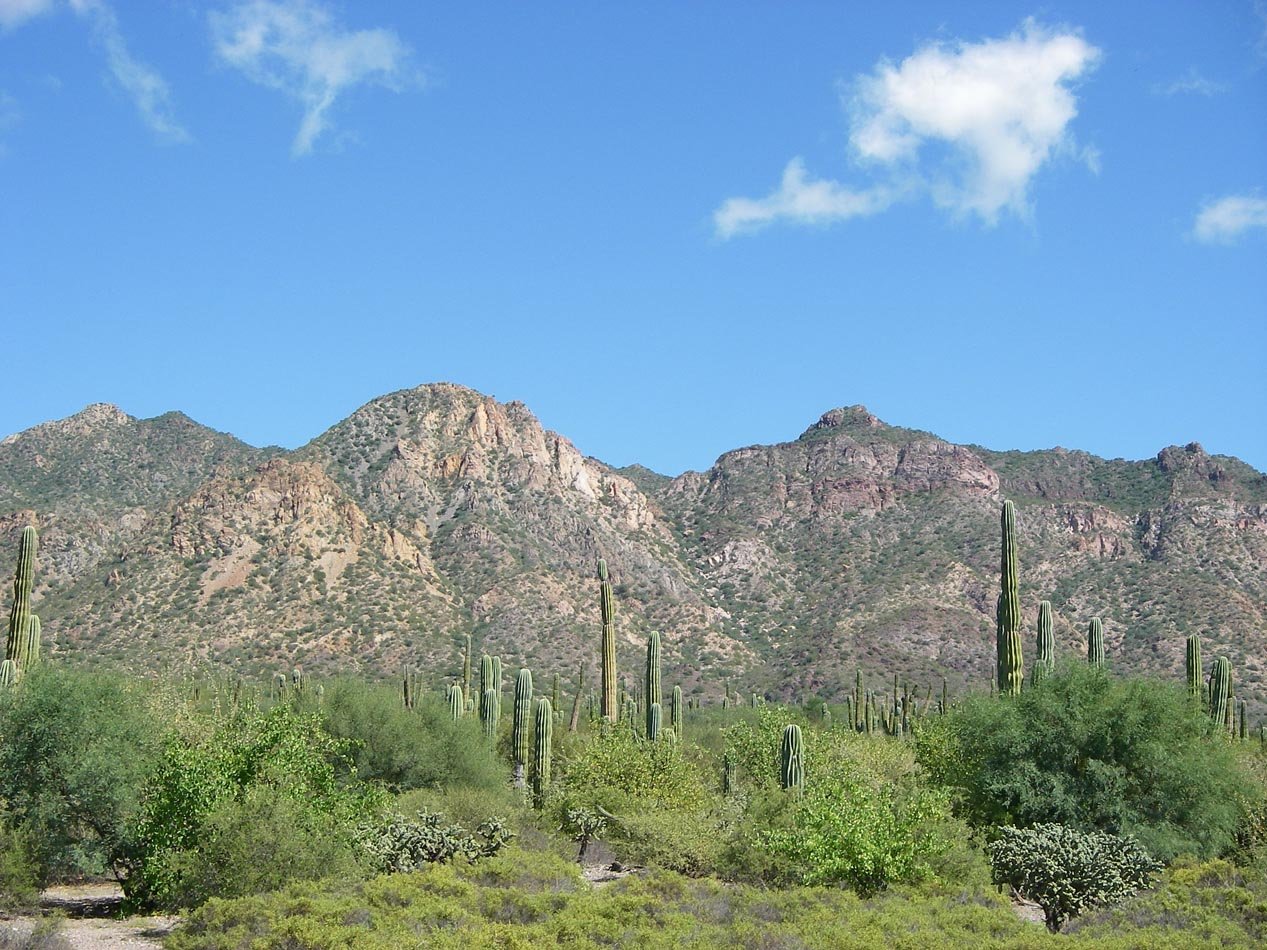 imgp1013.jpg
