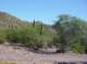 imgp1014_small.jpg