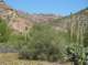 imgp1015_small.jpg
