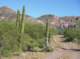 imgp1016_small.jpg