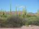 imgp1019_small.jpg
