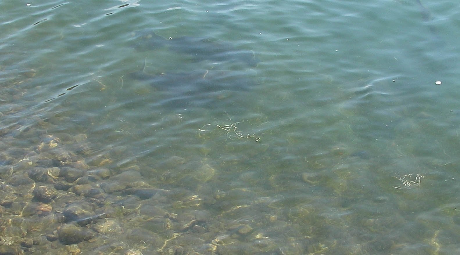 imgp7682.jpg