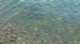 imgp7682_small.jpg