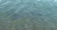 imgp7683_small.jpg