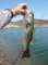 imgp7695_small.jpg