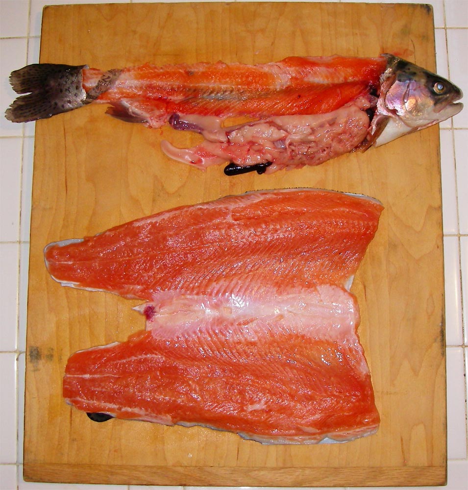 Mike Dufish butterfly filet of Sierra Bow from Laguna Niguel Lake 1/12/2011