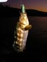 Fifteen inch calico bass hit the five-inch WildEye sardine 12/21/2011