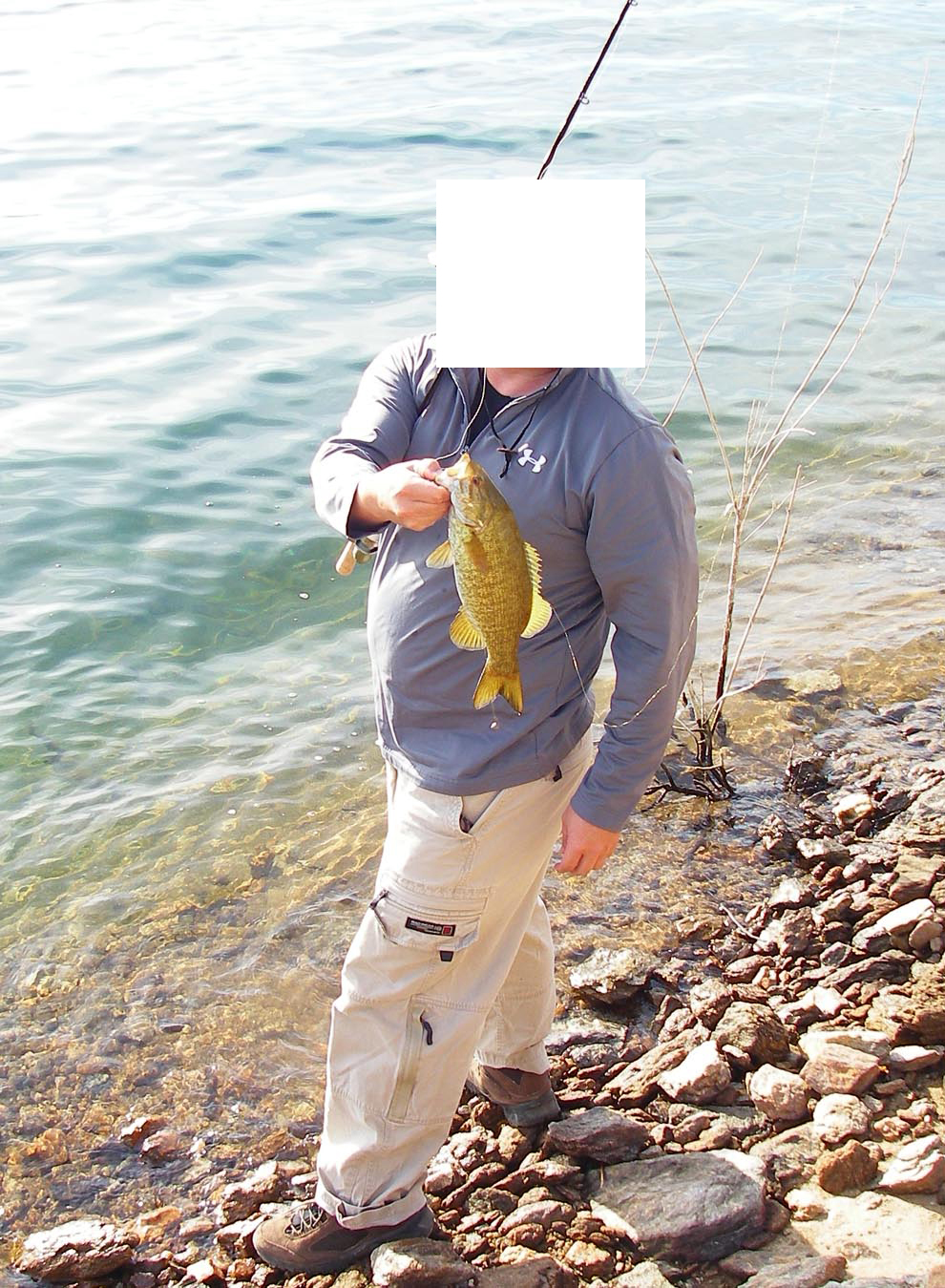 Hooky lands a smallmouth bass while using a dropshotted worm at Diamond Valley Lake 4/4/2012 