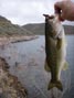 Mike Dufish holding up a 2-pound largemouth caught at Diamond Valley Lake 5/2/2012. 