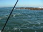 Fishing for opaleye at Palos Verdes using a bubble painted bright red  10/24/2012