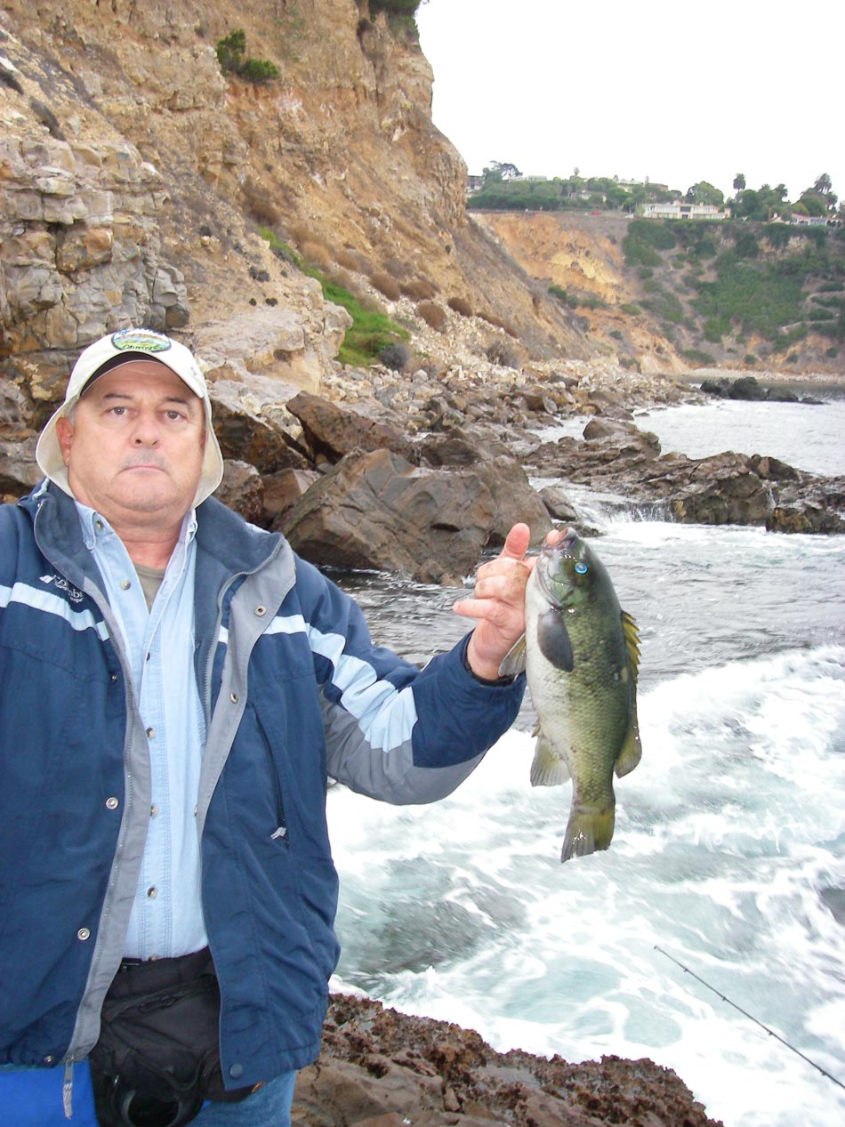 Mike Dufish with a 2-4 opaleye caught from the rocks of Palos Verdes 11/28/2012 