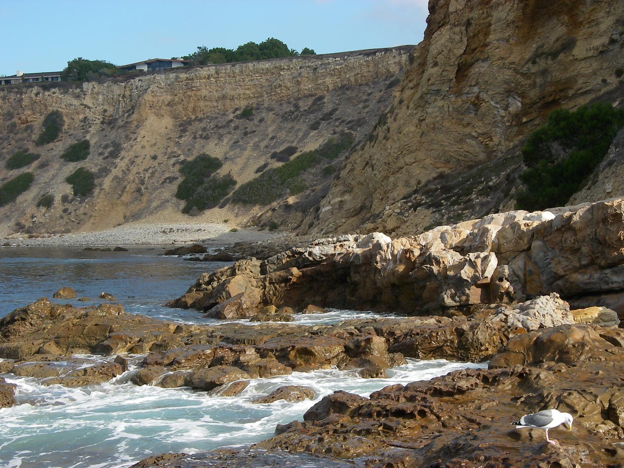 More good rocks to fish from Palos Verdes 11/28/2012 