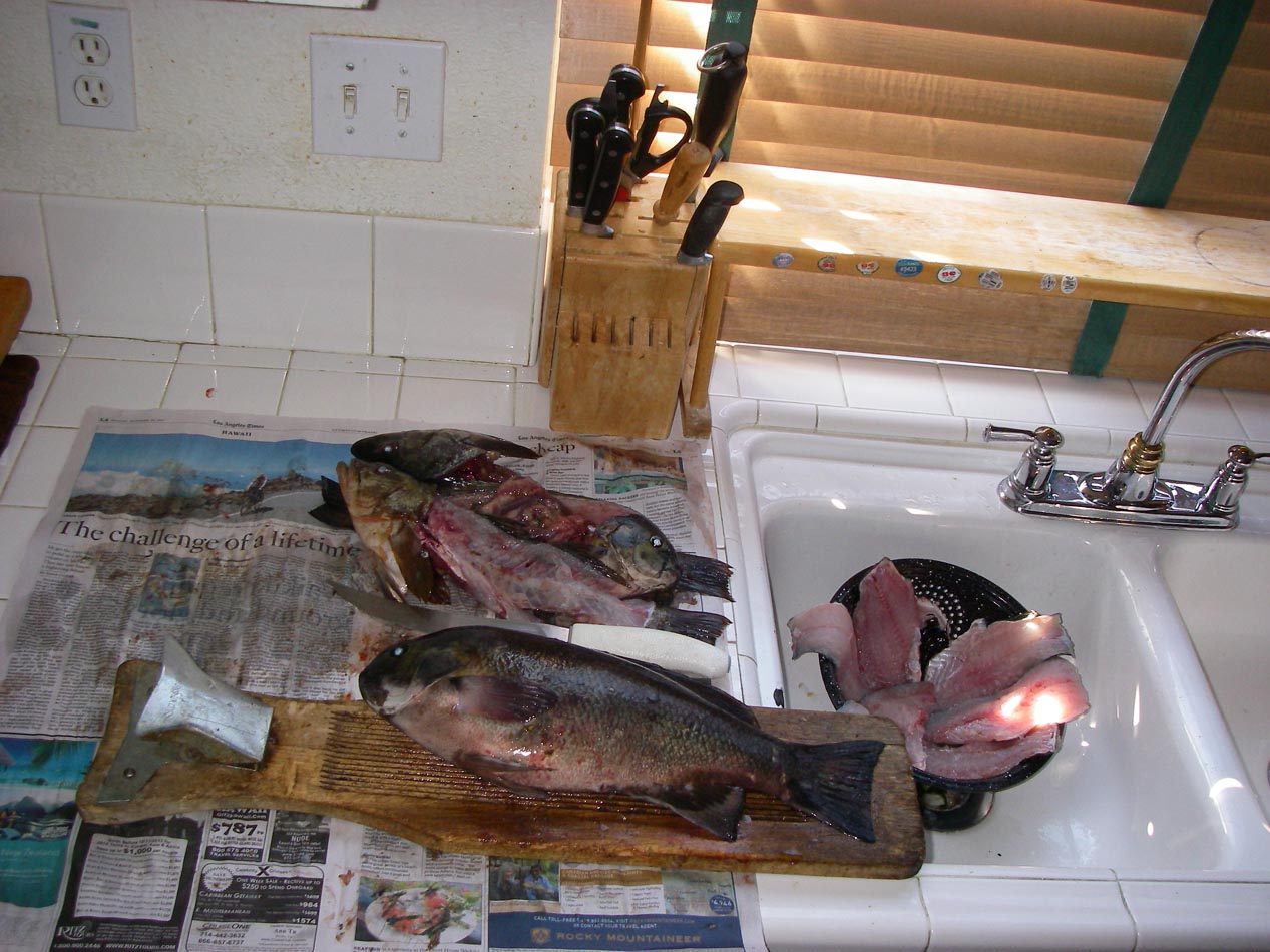 Almost done fileting the catch of the day 10/30/2013