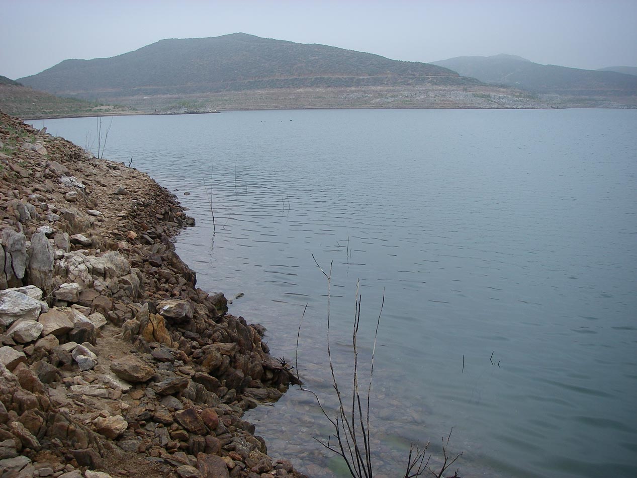 Perfect spring overcast conditions but no fish at Diamond Valley Lake 3/24/2014