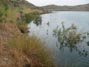 Had four hits while flipping a four inch purple worm in the mulefat and saltcedar around Diamond Valley Lake 5/31/2013