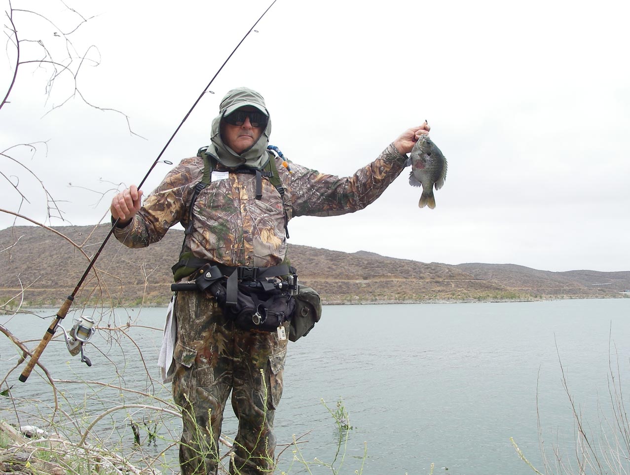 My personal best bluegill, 1-pound, from Diamond Valley Lake 6/16/2018 
