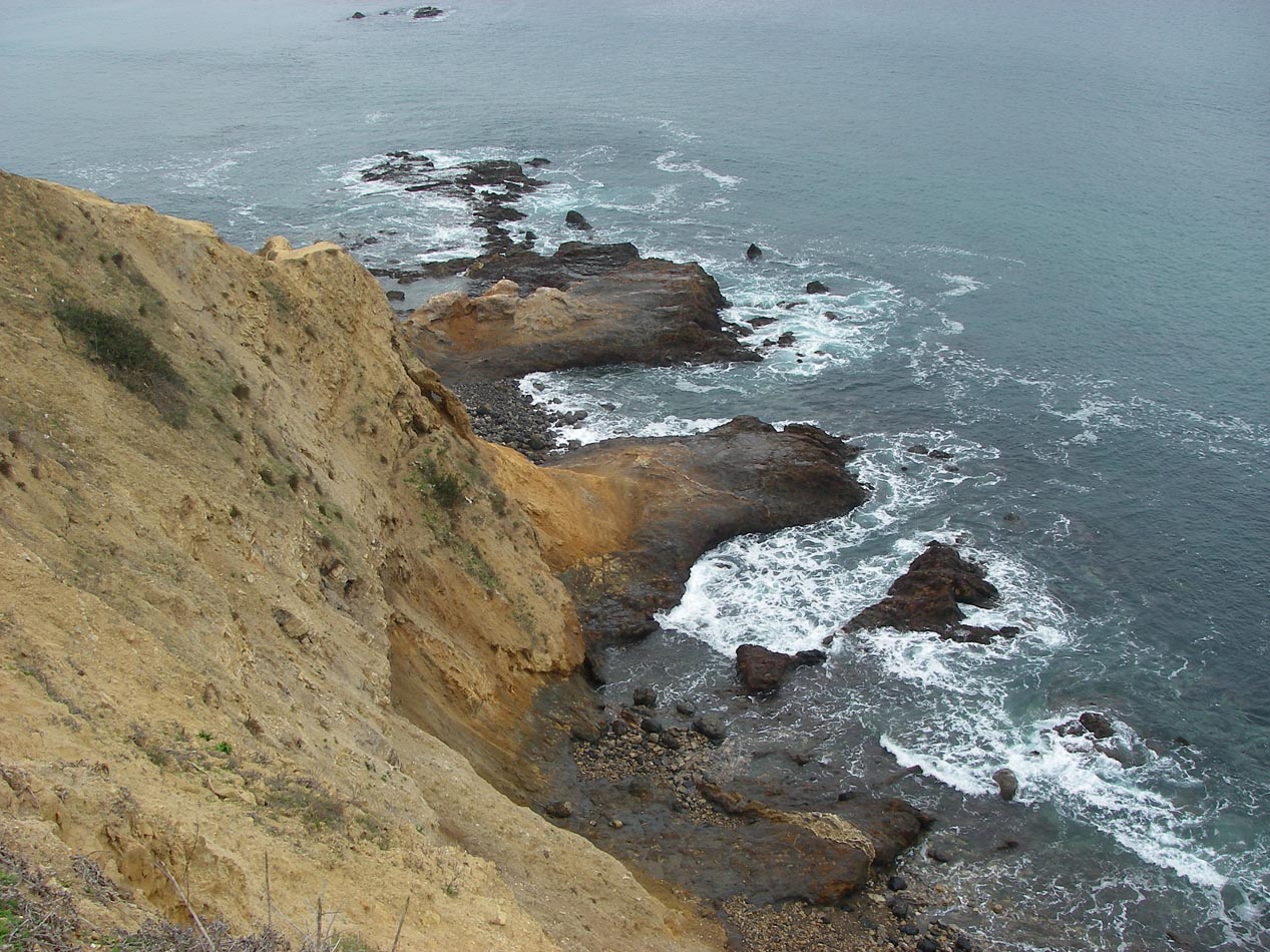 Will try for opaleye the next calm surf day at Flat Rock Point, Palos Verdes CA 1/5/2019 
