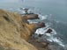 Will try for opaleye the next calm surf day at Flat Rock Point, Palos Verdes CA 1/5/2019 