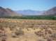 imgp4786_small.jpg