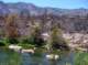 imgp4790_small.jpg