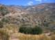 imgp4803_small.jpg