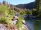 imgp4813_small.jpg