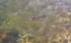 imgp4821_small.jpg