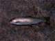 imgp4828_small.jpg