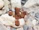 imgp4831_small.jpg