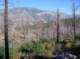 imgp4845_small.jpg
