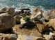 imgp0567_small.jpg